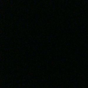 Meet your Posher, Jamario